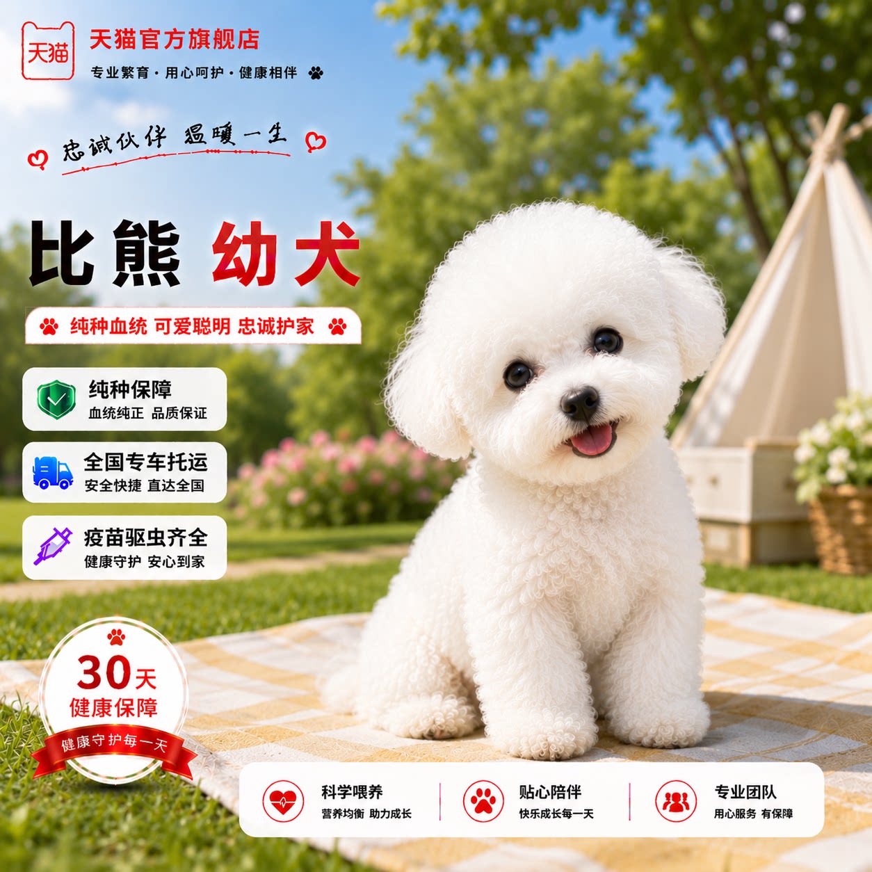 小型犬狗活体家养迷你犬幼崽球形