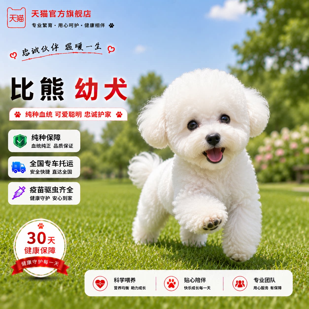 犬精品小活体网红白色狗可爱狗狗