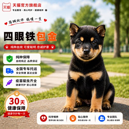 便宜小狗狗银好养正宗家养可爱