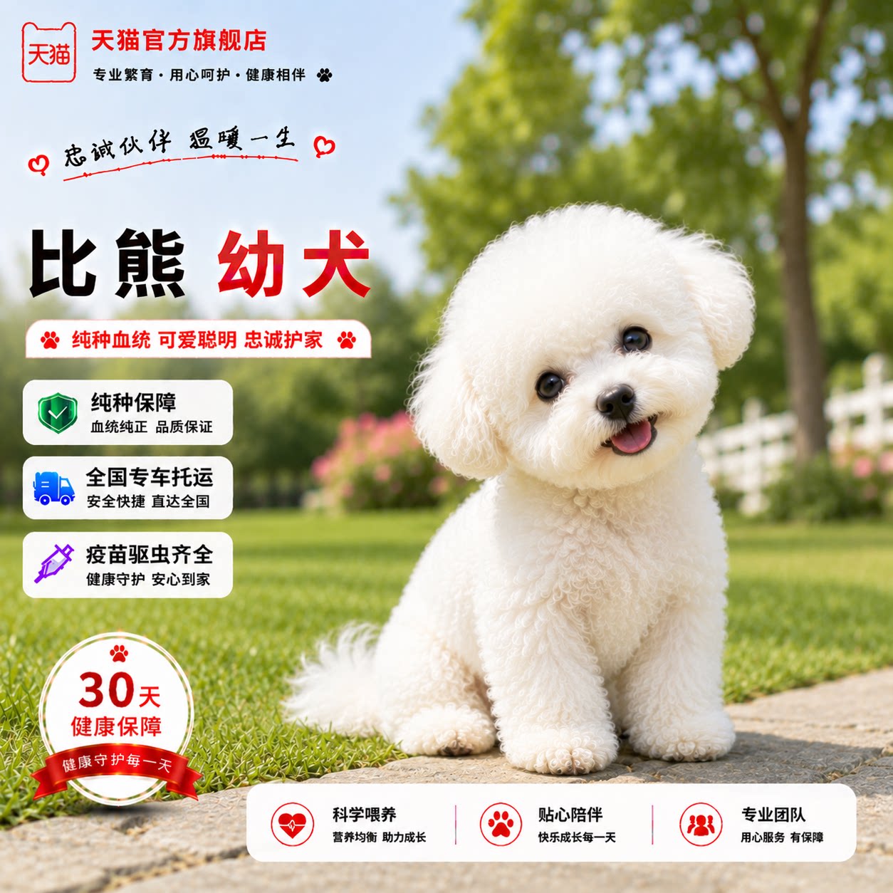 小型体球形小网红可爱狗超小活体