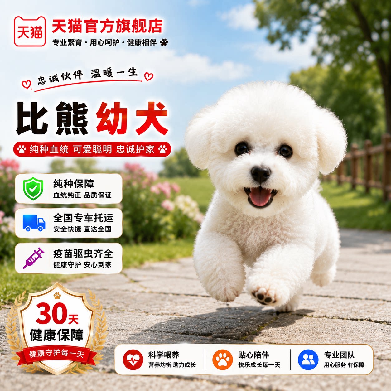 小球形网红狗长不大可爱活物幼崽