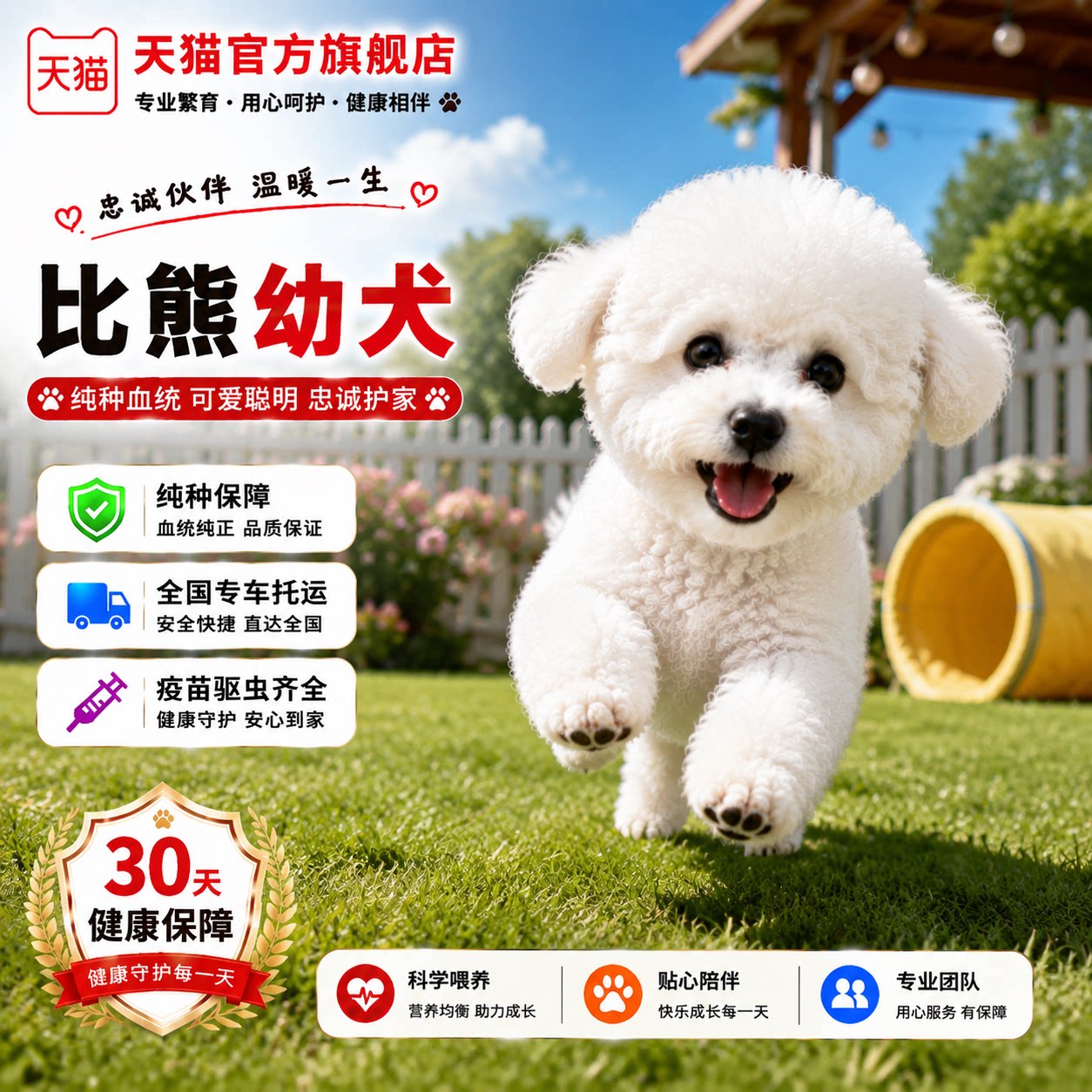 幼崽袖珍网红狗活体可爱小型犬