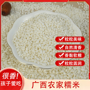广西圆糯米长寿乡特产天等大糯米农家自种白糯米包粽子专用软糯米