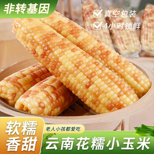 云南西双版纳花糯小玉米5斤新鲜现摘香糯真空装开袋速食学生早餐