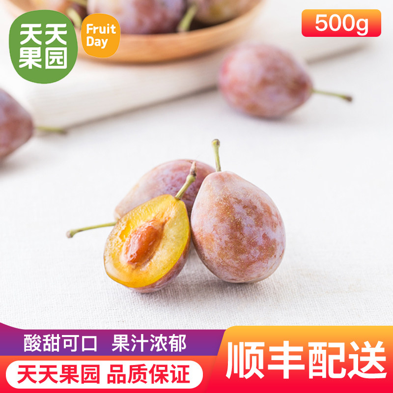 天天果园 新疆蜜玉西梅500g 新鲜水果应季肉质爽脆细腻多汁1斤装在类目 水产肉类/新鲜蔬果/熟食, 新鲜水果, 其它中 - 来自Buy2taobao.com提供专业的淘宝代购服务