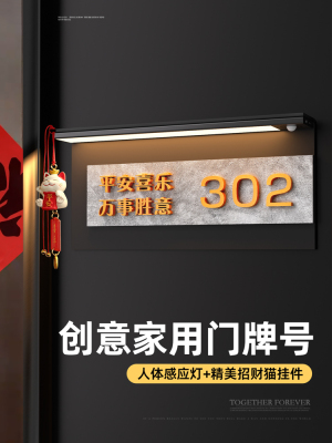 门牌号家用自粘发光门牌号高级感轻奢创意家用简约风入户门口装饰