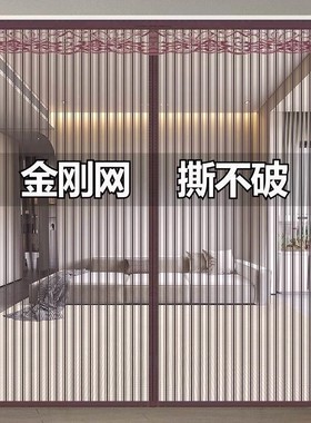 Salmon wire mesh curtain anti-mosquito Velcro magnetic windo