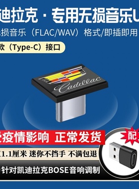 凯迪拉克Type-c专用无损高品质车载U盘CT4/5/6 XT4XT5XT6/IQ傲歌