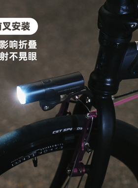dahon大行自行车夜骑灯骑行前灯公路车单车前叉夜间照明灯p8p10d7