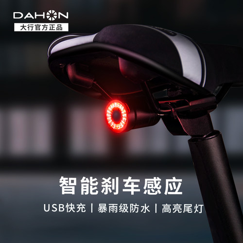 DAHON自行车p8山地装备夜骑