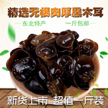 东北特产干货野生黑木耳500g长白山椴木秋木耳肉厚无根非小碗耳新