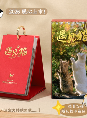 【薛巍】2026年遇见猫温暖治愈指南全新上市流浪猫主题日历