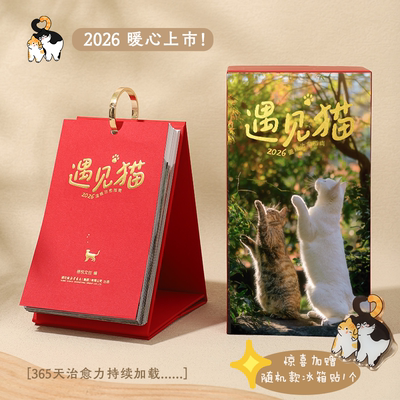 【薛巍】2026年遇见猫温暖治愈指南全新上市流浪猫主题日历