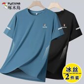 运动速干衣宽松大码 啄木鸟冰丝短袖 薄款 夏季 休闲跑步体恤 T恤男士
