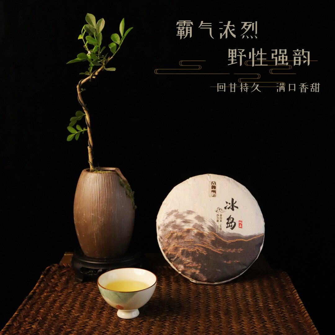 2022年冰岛坝歪众山韵普洱茶云南临沧春茶古树纯料生茶200g茶饼茶