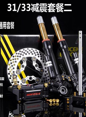 明浙MG3前减震九号NME小牛雅迪极核改装31/33芯前避震软硬可调款