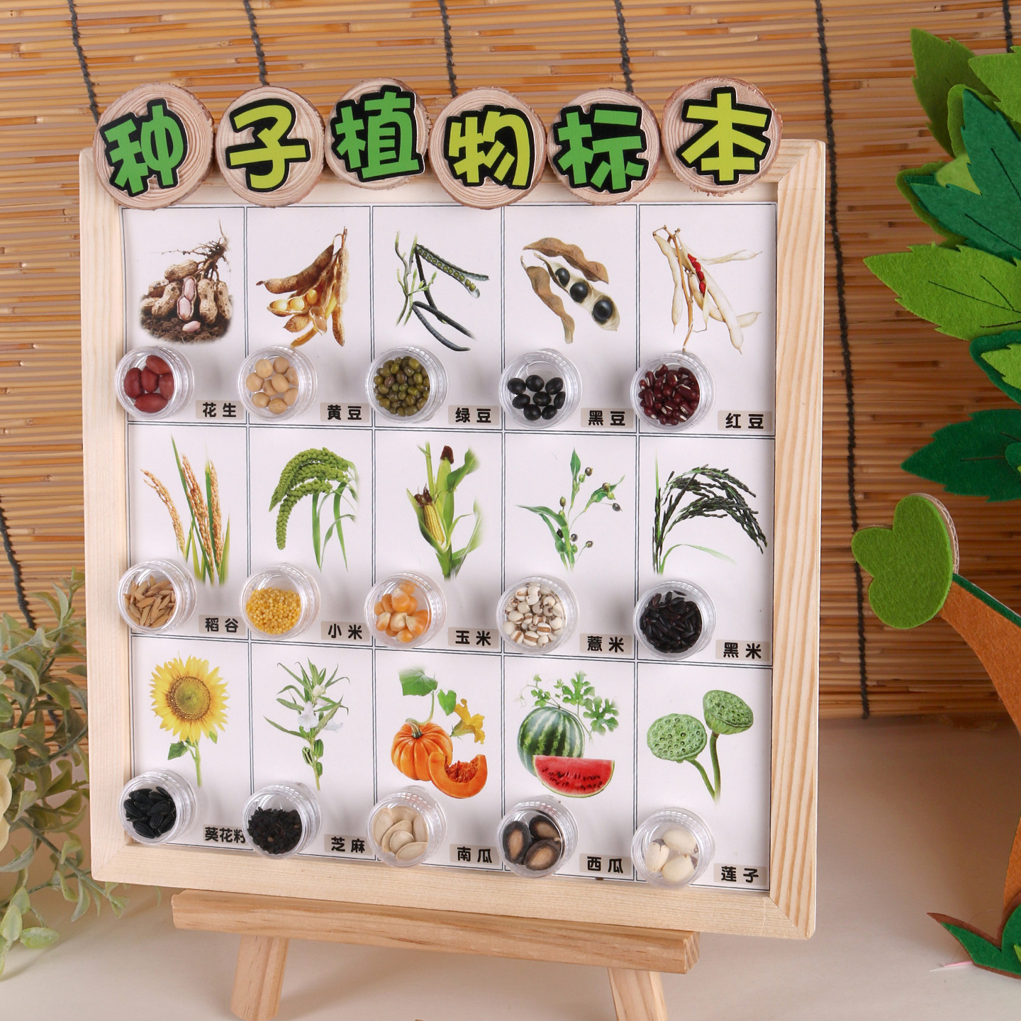 种子植物标本相框DIY手工制作儿童科学教育玩具木质展示框