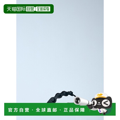 1h可退 香港直邮Alexander Wang 亚历山大 王 女士 Rapture 人字