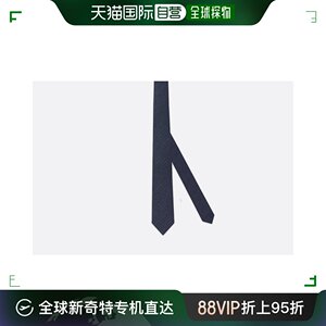 欧洲直邮DIOR/迪奥  斜领带