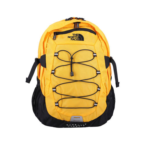 欧洲直邮THE NORTH FACE 户外背包 NF00CF9C4WP S【付后1h可退】