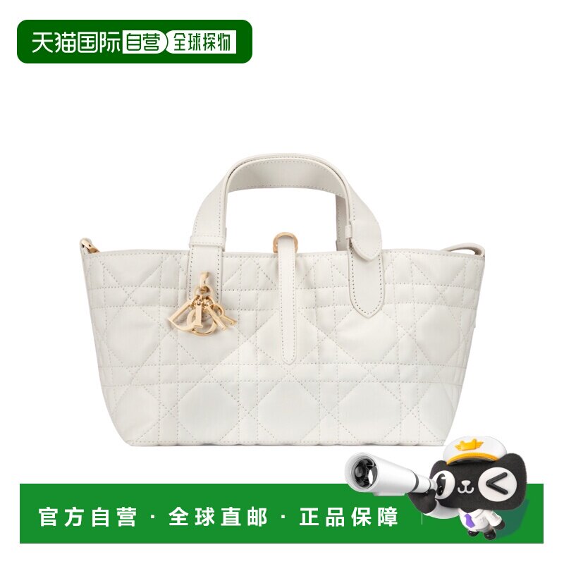 香港直邮Dior 小号 Dior Toujours 包 M2822OSNW迪奥斜挎包手提包