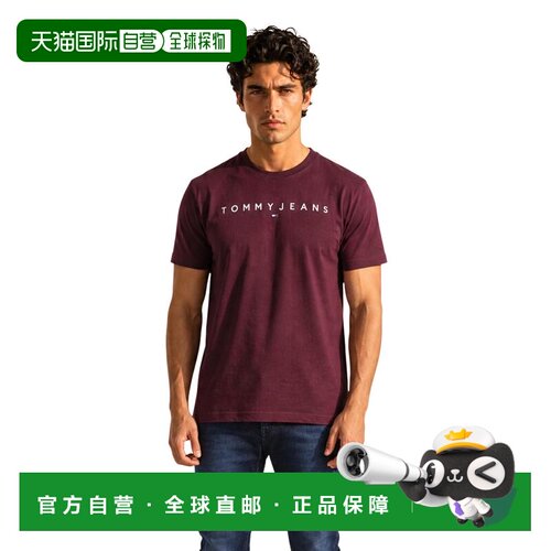 香港直邮TOMMY HILFIGER 男士T恤 DM0DM20744V11 AW支付后1h可退