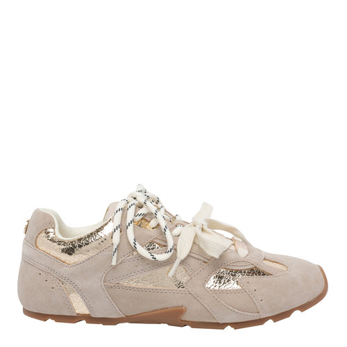 欧洲直邮Steve Madden 女士运动鞋 ASIELGOLD SS2【付后1h可退】