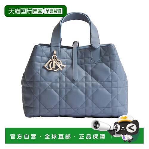 Dior 中号 Dior Toujours 手提包 M2821OSNW斜挎包单肩包