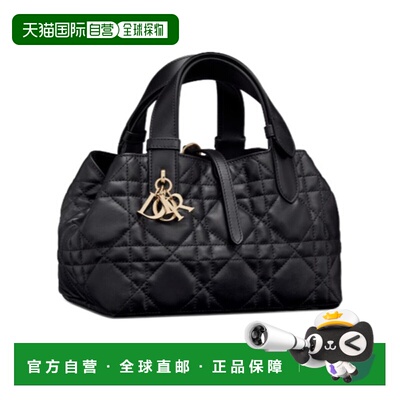 香港直邮Dior 小号 Dior Toujours 手提包 M2822OSHJ迪奥斜挎包
