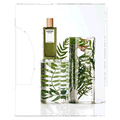 欧洲直邮Loewe罗意威黑色圆舞曲男士浓香水EDP保湿细腻轻盈5正品