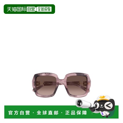1h可退 香港直邮Chloe 全框太阳镜 CH0301S