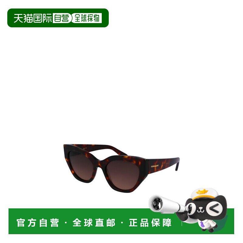 1h可退 香港直邮Salvatore Ferragamo 几何镜框太阳镜 SF1107S