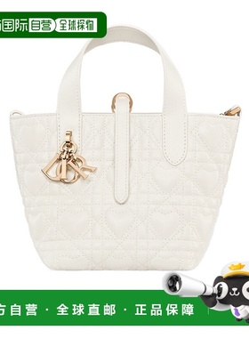 香港直邮Dior 微型 Dior Toujours 竖版手提包 S6100OMXD