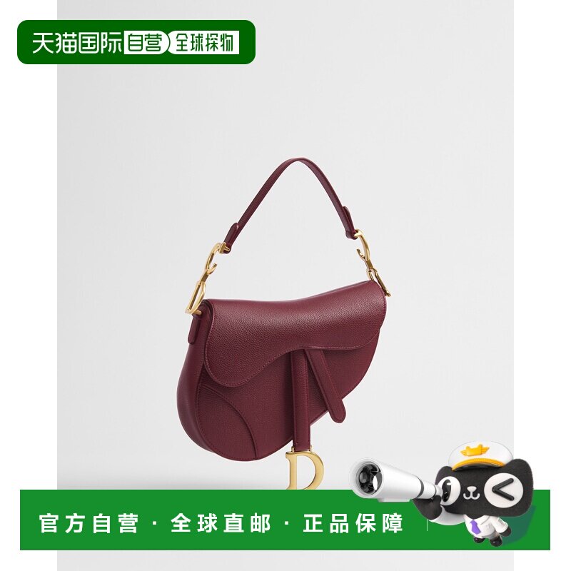 欧洲直邮马鞍单肩小号包 Dior Or斜挎包单肩包