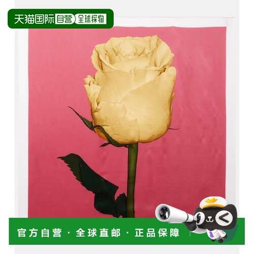 香港直邮Acne Studios 艾克妮 女士 花朵真丝绸缎围巾 CA0419FNUX