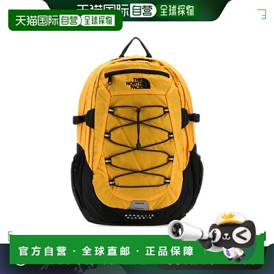 欧洲直邮THE NORTH FACE 男士双肩包NF00CF9C4WP1北面