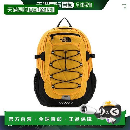 欧洲直邮THE NORTH FACE 男士双肩包NF00CF9C4WP1北面