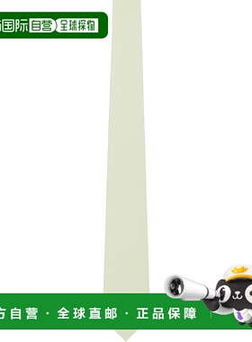 1h可退 香港直邮AURALEE 男士 绿色 Washed Finx 领带 A25ST07TNM