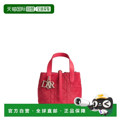 欧洲直邮DIOR（中文）Dior Toujours 小号垂直托特包
