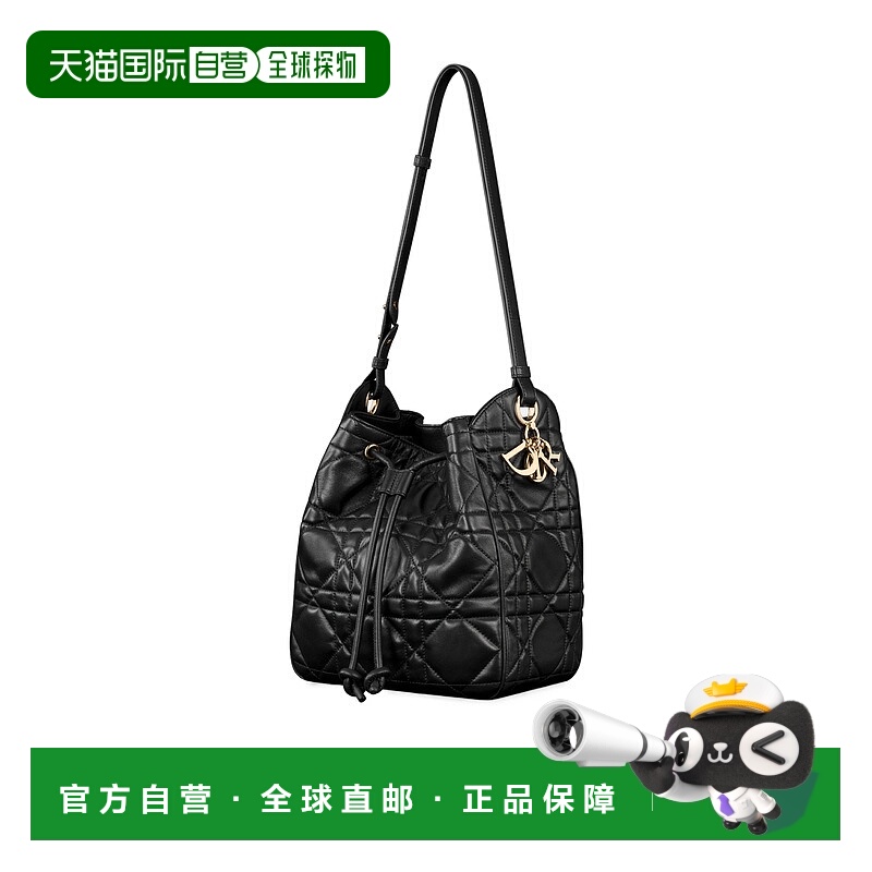 香港直邮Dior 中号 D-Motion 单肩包 M2852ONWP