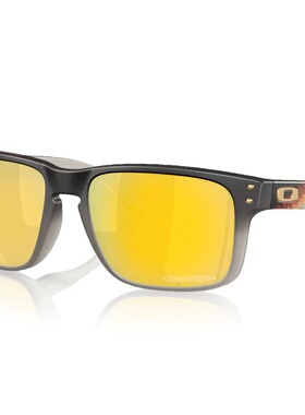 香港直邮OAKLEY 男士太阳镜 10049457422682 CO 黑色 Oakley Holb
