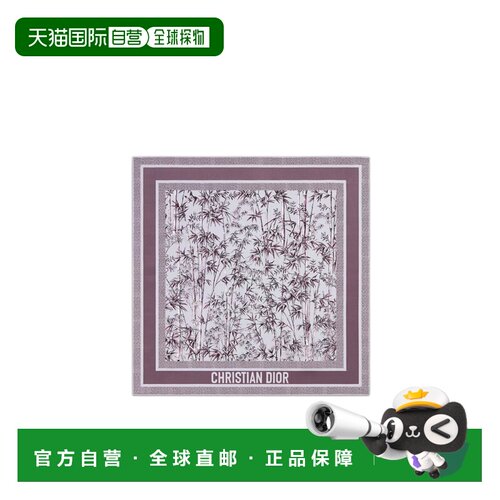 香港直邮DIOR 女士围巾 54TJB070I604C479 AW2025 支付后1h可退