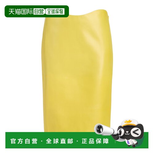 Alaia 铅笔半身裙 AA9J2559C228D
