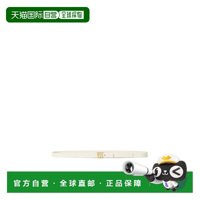 Fendi FF 皮带 8C0792B1JS