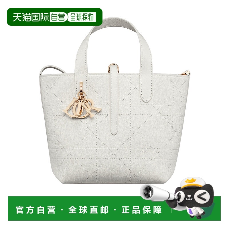 香港直邮Dior 小号 Dior Toujours 垂直托特包 M2835OCUQ迪奥