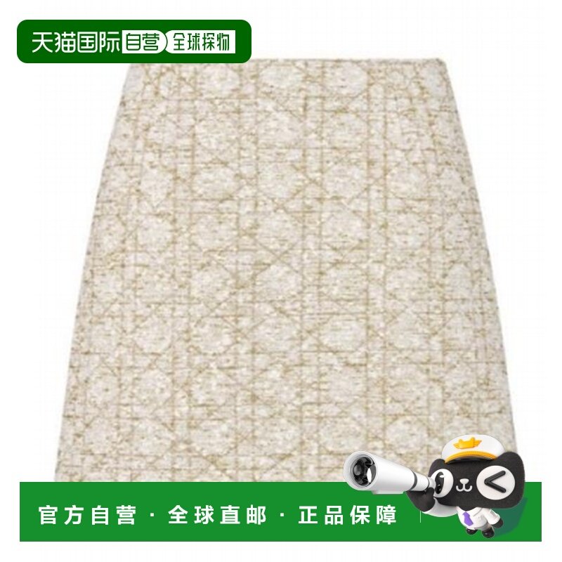 1h可退 香港直邮DIOR 25SS 格纹半身裙 Women包臀裙,女装/女士精品,连衣裙,淘宝优惠券,粉丝福利购,淘宝优惠卷