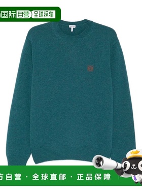 香港直邮LOEWE 罗意威 男士 绿色毛线衫毛衣 H526Y14KH1