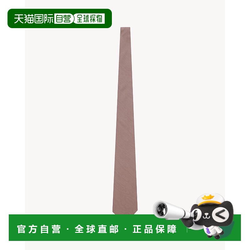 欧洲直邮YSL (2025) 宽丝绸罗缎领带