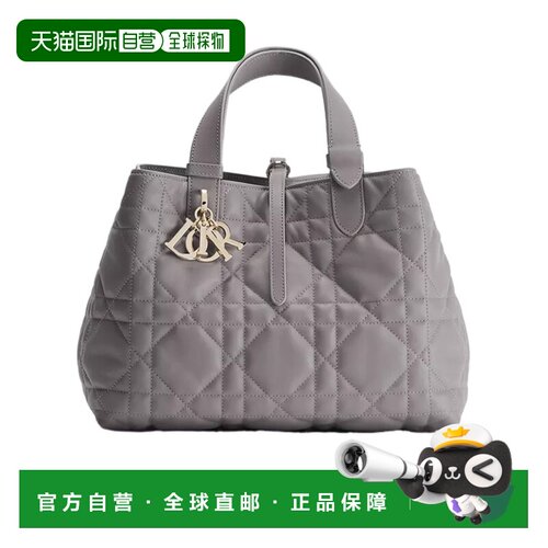 1h可退 Dior 中号 Dior Toujours 单肩包 M2821OSNW