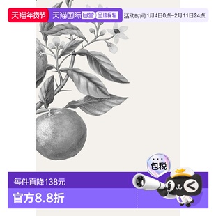 欧洲直邮法国Carriere Freres植物学家 Yuzu日本柚子 扩香器 200m